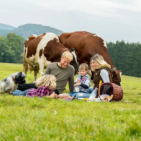 Westfalenhof Апартаменты *