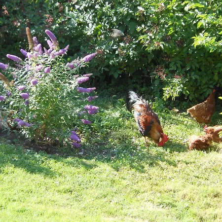 Westfalenhof 아파트 *