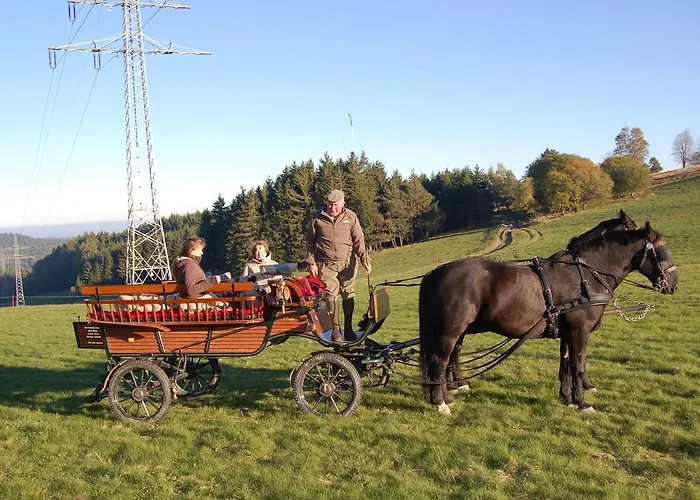 Westfalenhof * Willingen (Upland)