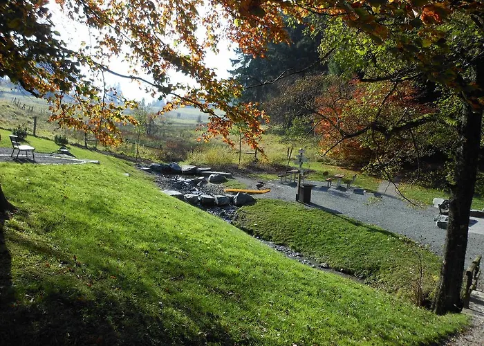 Westfalenhof Apartamento Willingen (Upland)