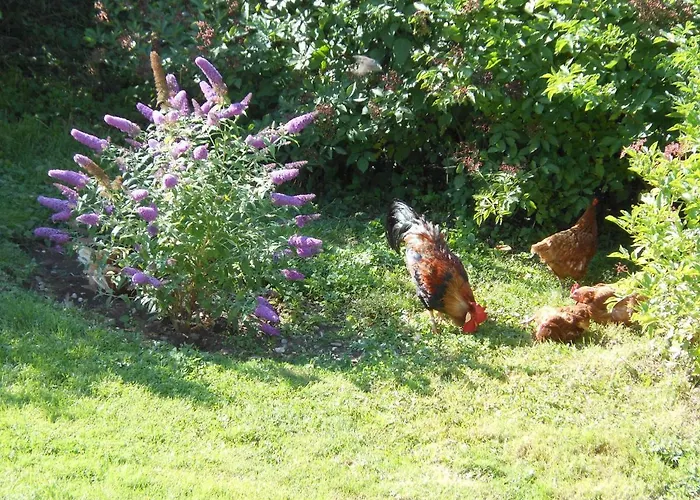 Westfalenhof Apartamento *